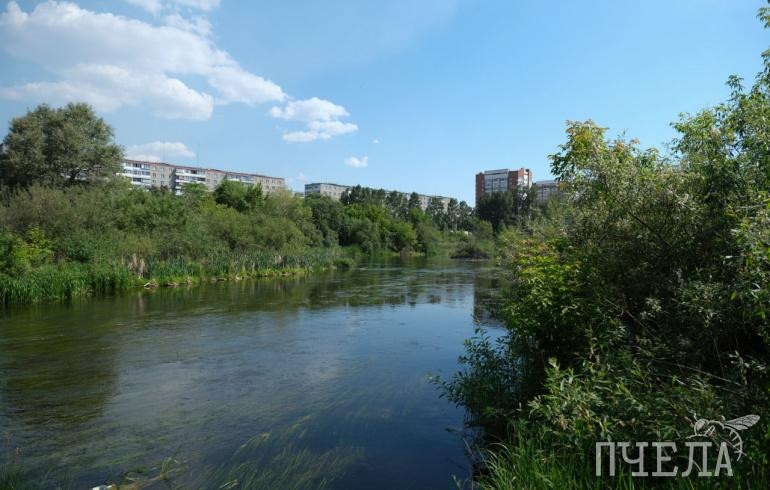 Расходы на экологию в Челябинской области за 10 лет выросли более чем в два раза