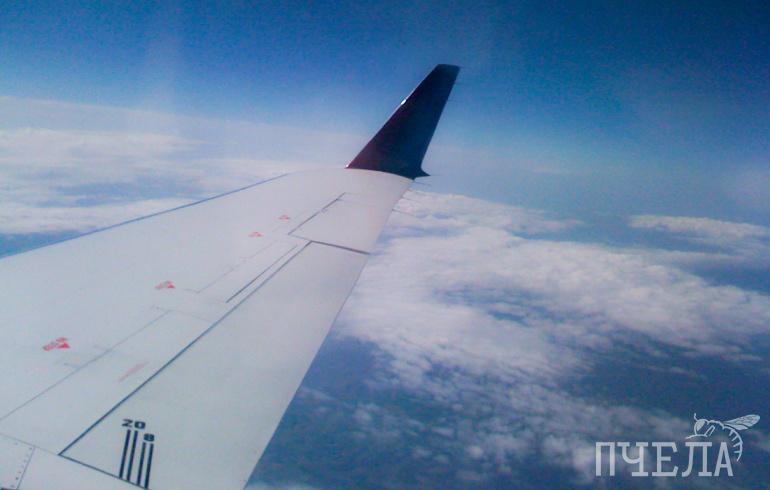 В Челябинской области планируют возобновить прямое авиасообщение с Астаной