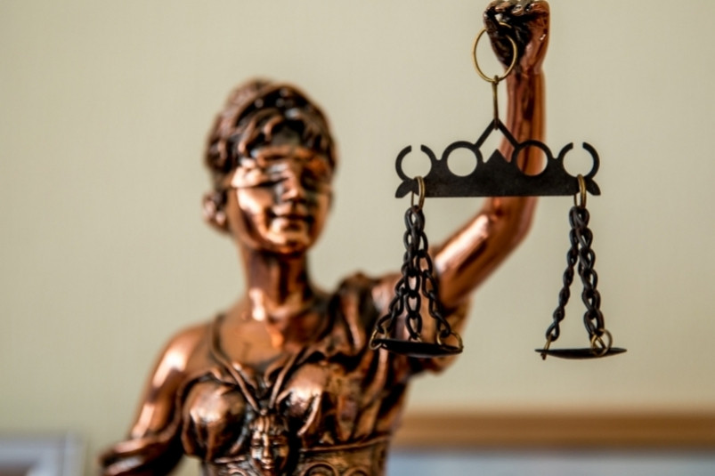 Суд Владивостока опубликовал официальные подробности ареста депутата Анны Алеко