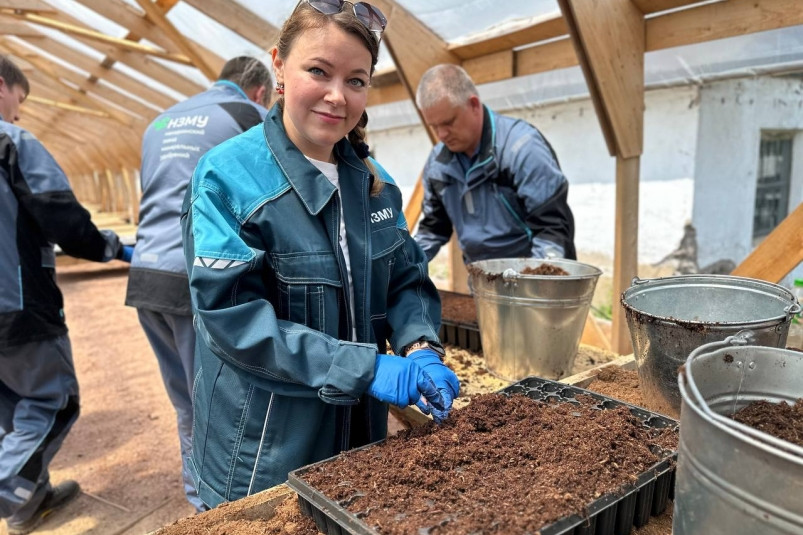 Приморье станет зеленее: первые семена хвойных деревьев посеяли в новом лесопитомнике НЗМУ