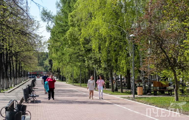 В единый стандарт региональных мер поддержки участников СВО и их семей вошли 20 видов помощи