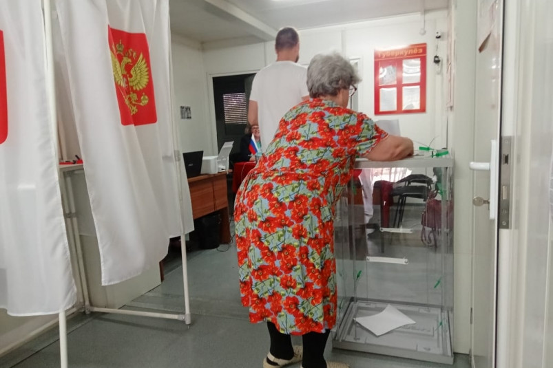 Мужик шел мимо с коровой и решил проголосовать – зарисовки деревенских выборов в Приморье