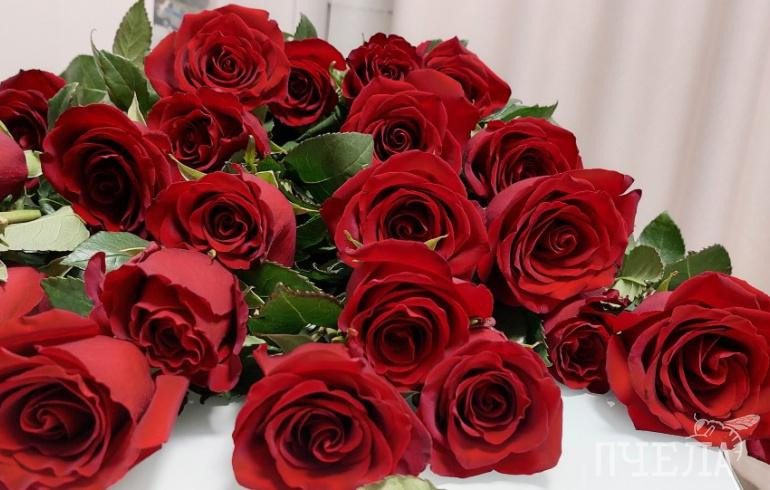 Психолог перечислил «загоны», которые мешают мужчинам знакомиться с красивыми женщинами