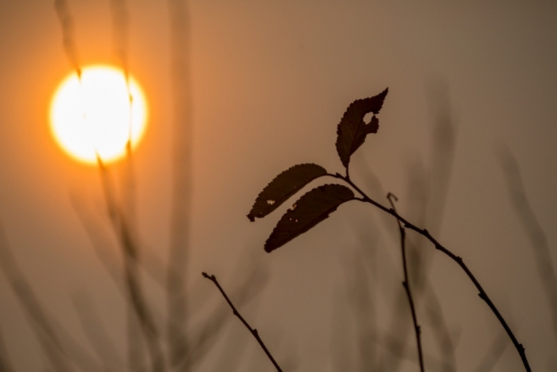 Погода в Приморье в начале рабочей неделе наладится после дождливых выходных