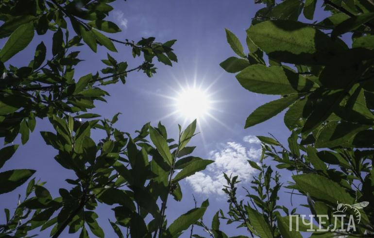 Челябинскую область накрыли 31-градусная жара и смог