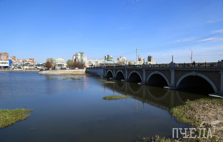 Реку Миасс в Челябинске начнут чистить от мусора и растительности после 15 июня