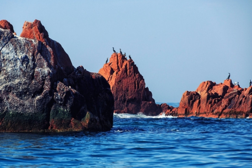 Матвей Шпаро на Первом канале рассказал о проведении конкурса для путешественников по ДВ