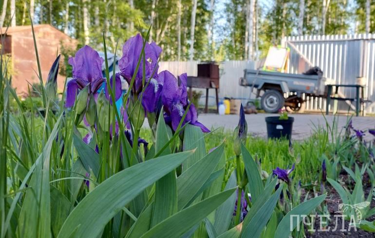 Этим летом на строительство бани в Челябинской области готовы тратить более 250 тысяч рублей