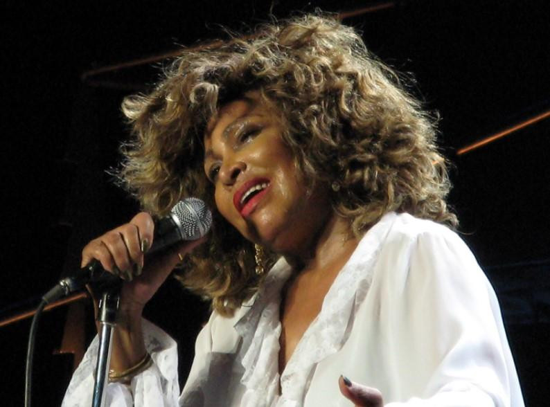 Кормухина назвала Тернер "явлением в мировой культуре"