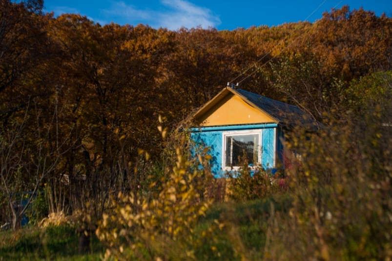 Ежедневно в Приморье оформляется порядка 20 объектов по “дачной амнистии”