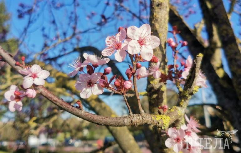 Помощь природе и экономия: в Челябинске в одной квитанции объединили платежи за свет, тепло и мусор