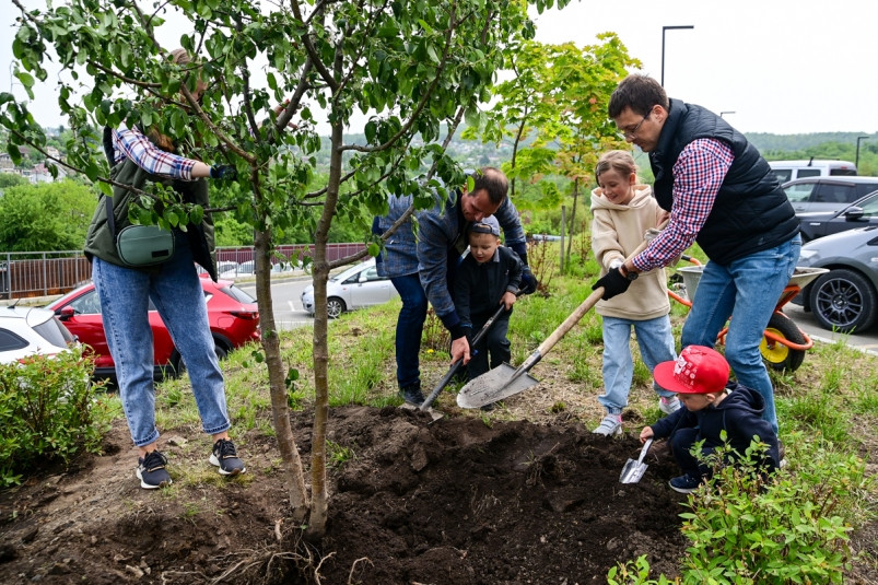 Грандиозное озеленение проводят в “Посёлке-парке ВЕСНА” в пригороде Владивостока