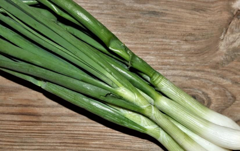Гастроэнтеролог Яковлева назвала неожиданные преимущества зеленого лука