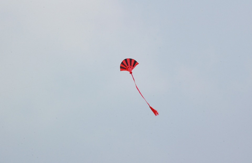 В Подмосковье дачник принял воздушного змея за дрон и заявил на мать с детьми