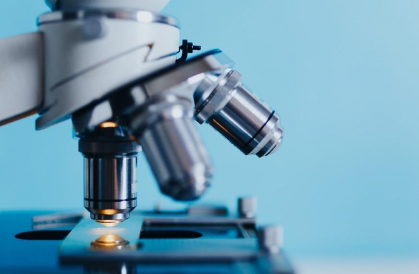 Ученые Финляндии рассказали, чем токсоплазмоз полезен для человека