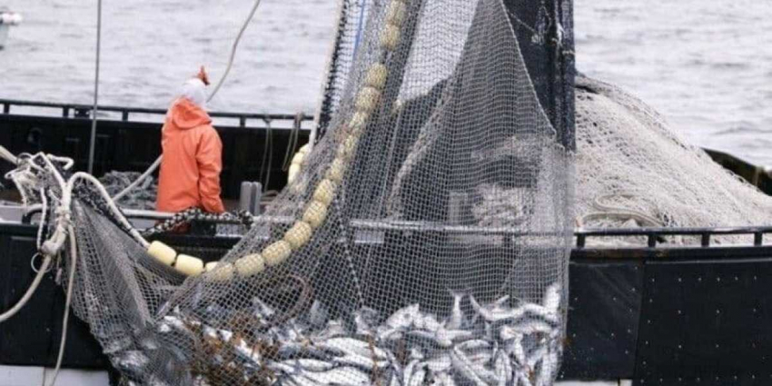 Россия больше не позволит иностранцам и рыбку нашу съесть и на голову сесть