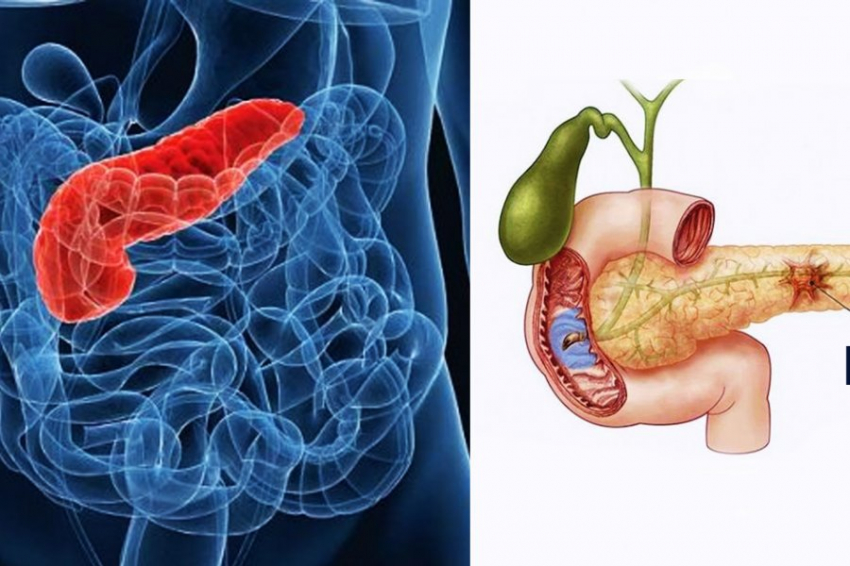 Онколог РФ Карасев: изменение цвета кожи может быть симптомом рака