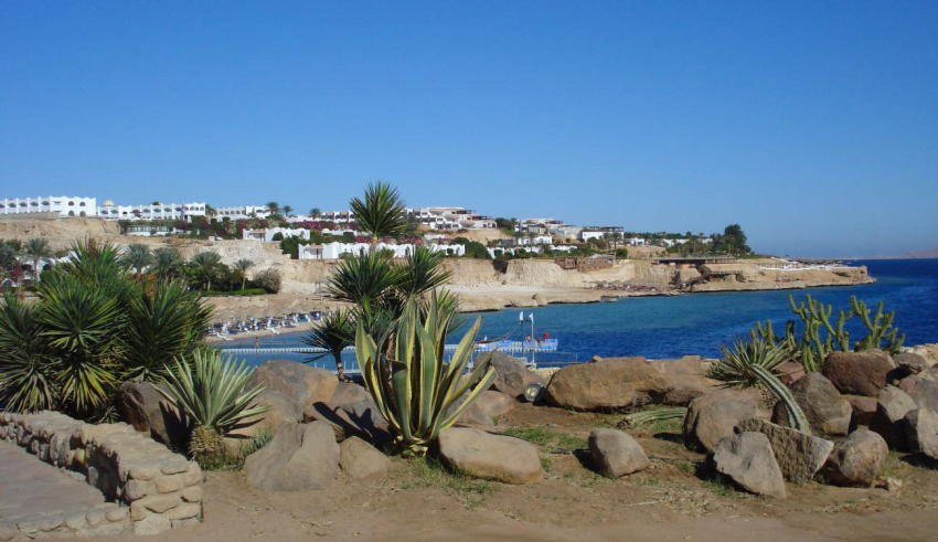 Эксперты рассказали, за что можно получить штраф или арест в Египте российским туристам