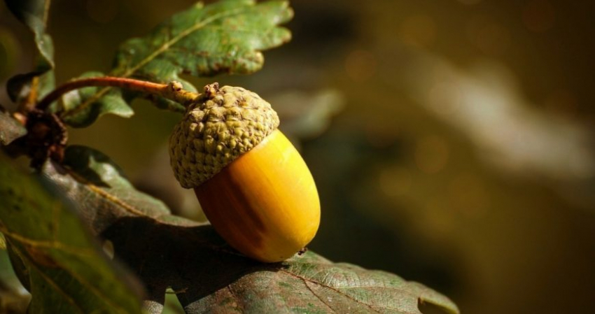 Значение старинных примет в праздник 31 мая 2023 года, строгие запреты дня