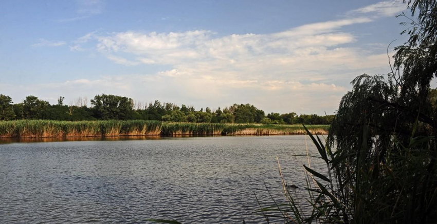 Врач Леонид Дежурный рассказал о правильной первой помощи при утоплении