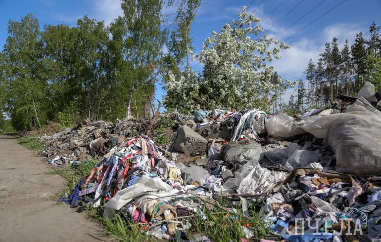 На Южном Урале в 2023 году ликвидируют 218 свалок