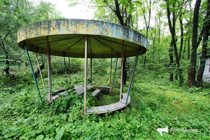 Более 30 гектаров земли под детскими лагерями возвращают в госсобственность в Приморье