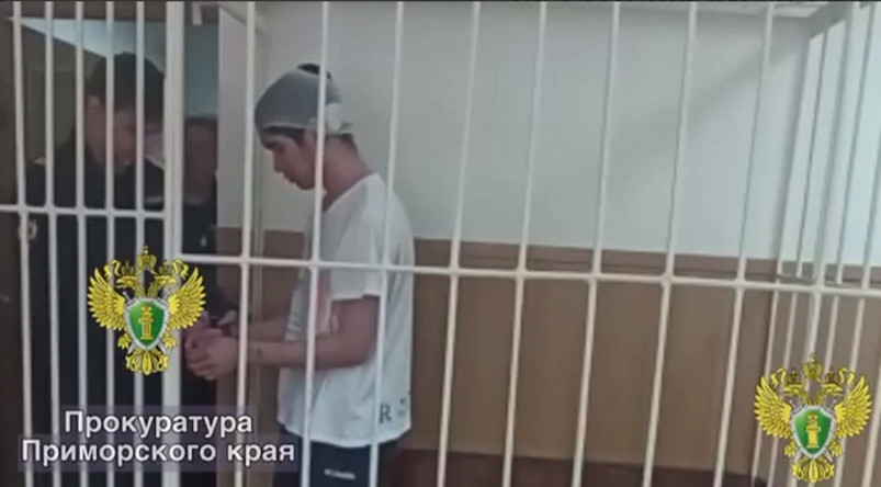 Виновника ДТП на Народном проспекте во Владивостоке отправили на 2 месяца под стражу