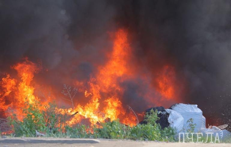 Челябинцы разожгли костёр в городском бору и сбежали