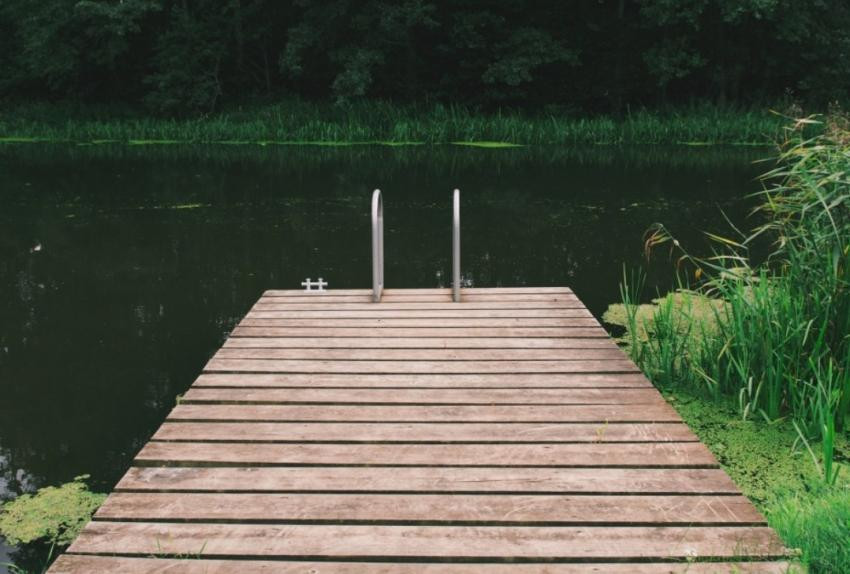 Аллерголог Щепеляев предупредил об опасности заражения кишечной палочкой при купании в водоеме