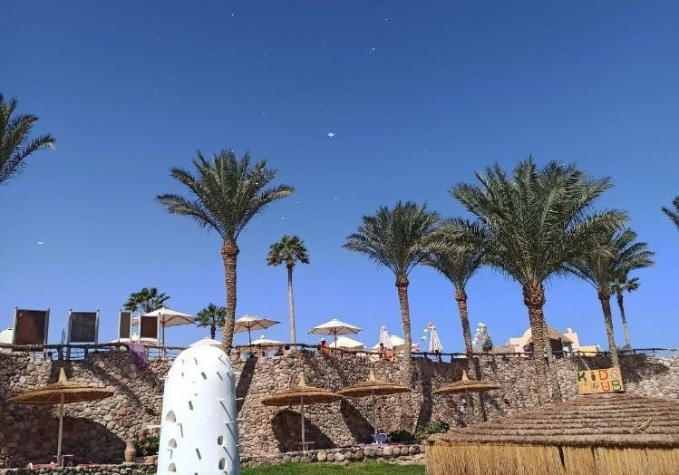 Египет повысил налоги на импортируемые предметы роскоши и развлечения