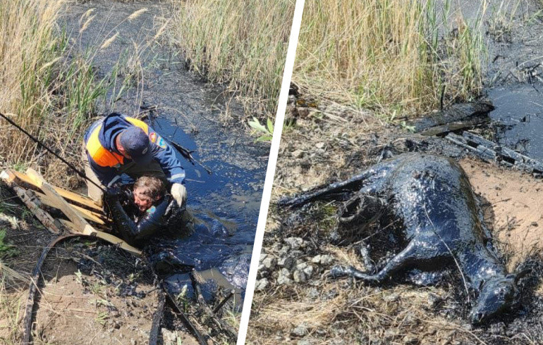 Прокуратура Троицка заинтересовалась историей с едва не утонувшей в битуме женщиной