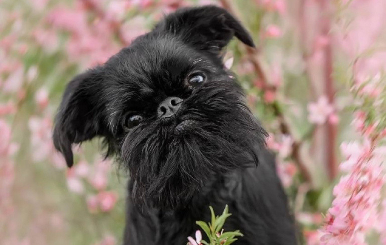 В Челябинской области после мощных гроз резко похолодает с +36 до дневных +17 градусов