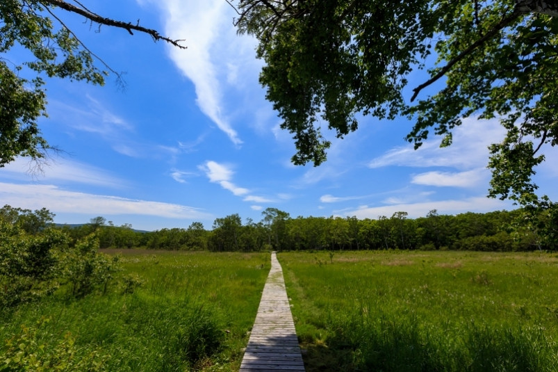 В Саратовской области при поддержке РусГидро обновлена экологическая тропа