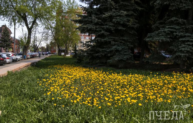 В Челябинской области после грозовых дождей с градом похолодает до +2 градусов