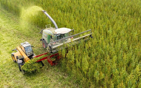 Евгений Скигин, основатель группы компаний «Коноплекс»: «Чтобы привлекать инвесторов, им необходимо гарантировать защиту прав» 