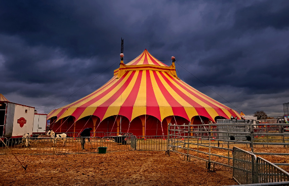 Семьям тюменцев, погибших в СВО, подарят билеты в цирк