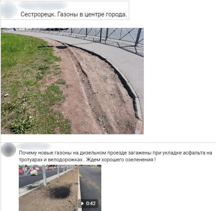 Петербуржцы рассказали о загаженных газонах после отчета чиновников об уборке города