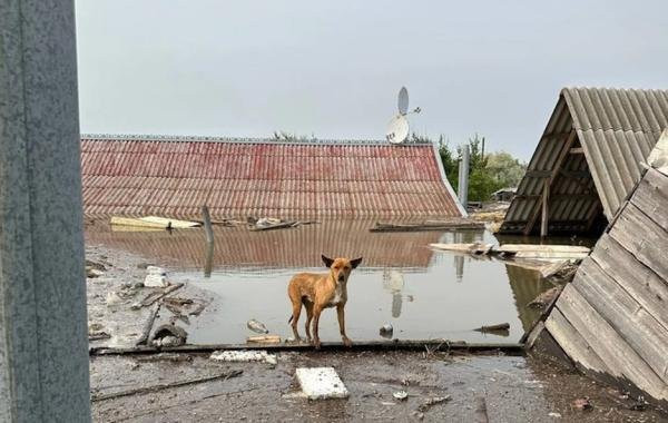 Разрушение Каховской ГЭС: последствия на сегодня, 10 июня 2023 года, обзор последних событий