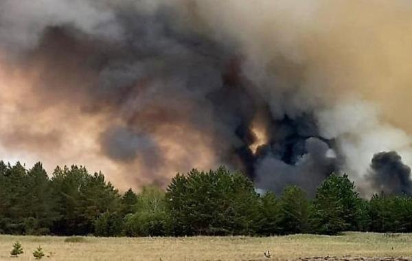 Лесные пожары в Казахстане, обстановка на сегодня: обзор свежих событий по данным на 12 июня