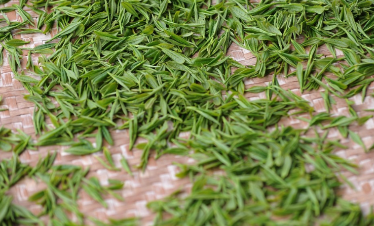 Эндокринолог Жаркова объяснила, как летом зарядиться полезными веществами