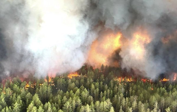 Лесные пожары в Казахстане, обстановка на сегодня: обзор последних событий на 13 июня