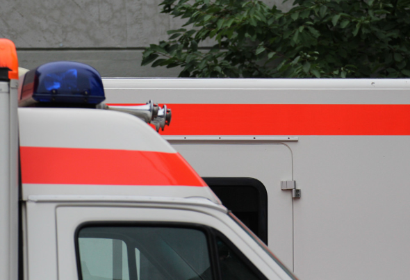 Житель США умер из-за сырых устриц с плотоядными паразитами