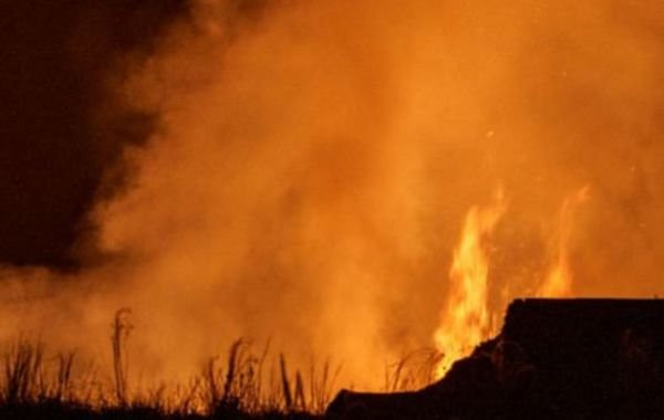 Лесные пожары в Казахстане, обстановка на сегодня: обзор последних событий на 14 июня