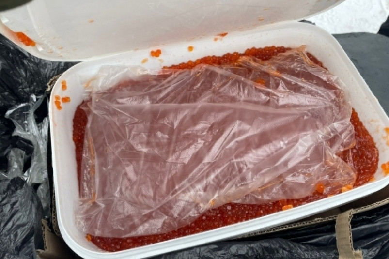 Житель Московской области незаконно перепродал более 2 т икры и краба с Камчатки