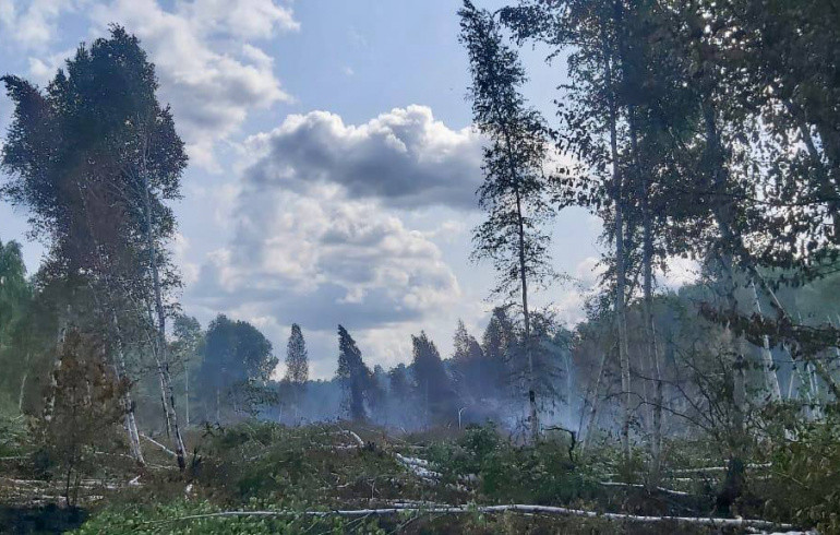 На Южном Урале вспыхнувшие из-за человеческой беспечности торфяники тлеют уже вторую неделю
