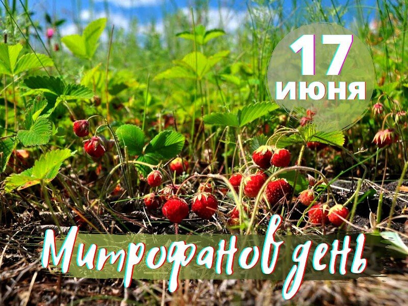 17 июня 2023 — Митрофан Навозник: Что можно и чего нельзя делать, информируют СМИ РФ