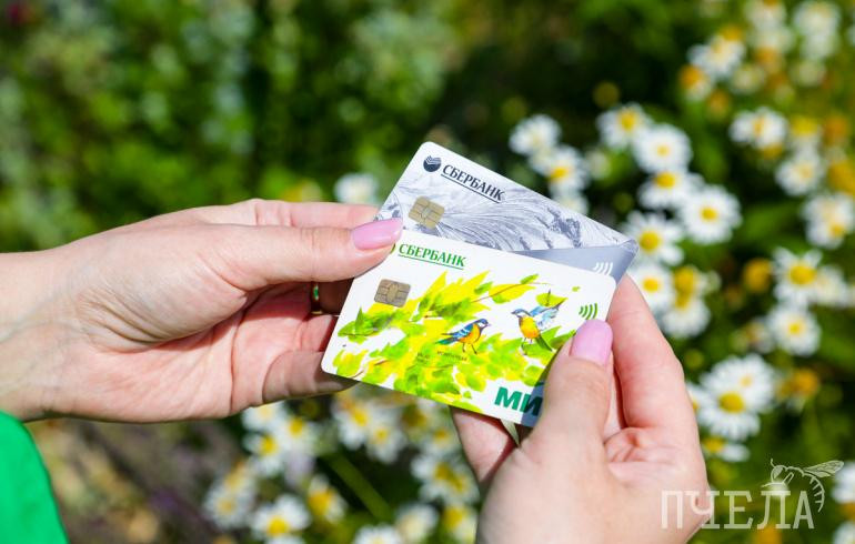 В Челябинской области внедрят новый электронный сервис для льготников