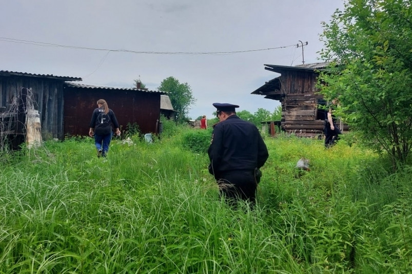 “Мак-2023”: под Уссурийском уничтожили плантации конопли на два гектара