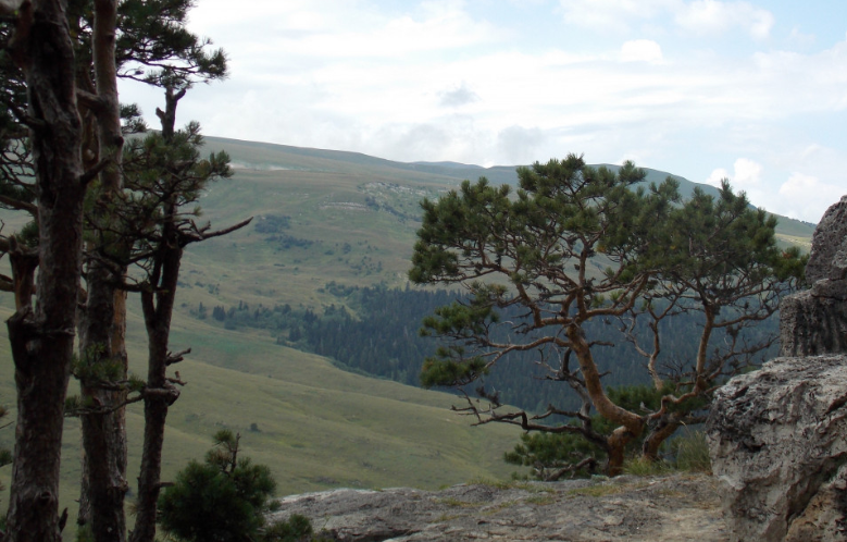 Адыгейский аул затопило проливными дождями, подтопив 50 домовладений
