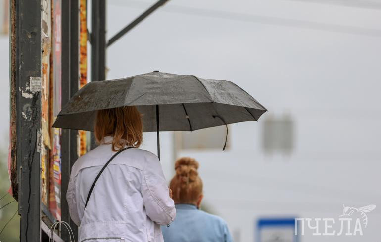 В Челябинской области на фоне похолодания до +1 градуса пройдут дожди с мокрым снегом